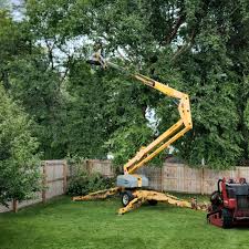 Best Grass Overseeding  in Ashland, CA