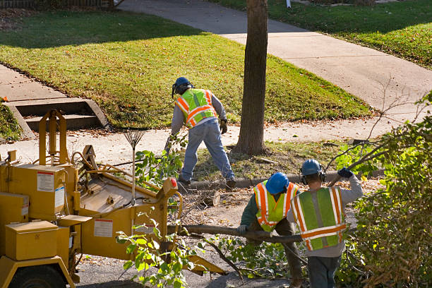 Best Aeration Services  in Ashland, CA